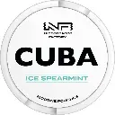 Cuba Spearmint